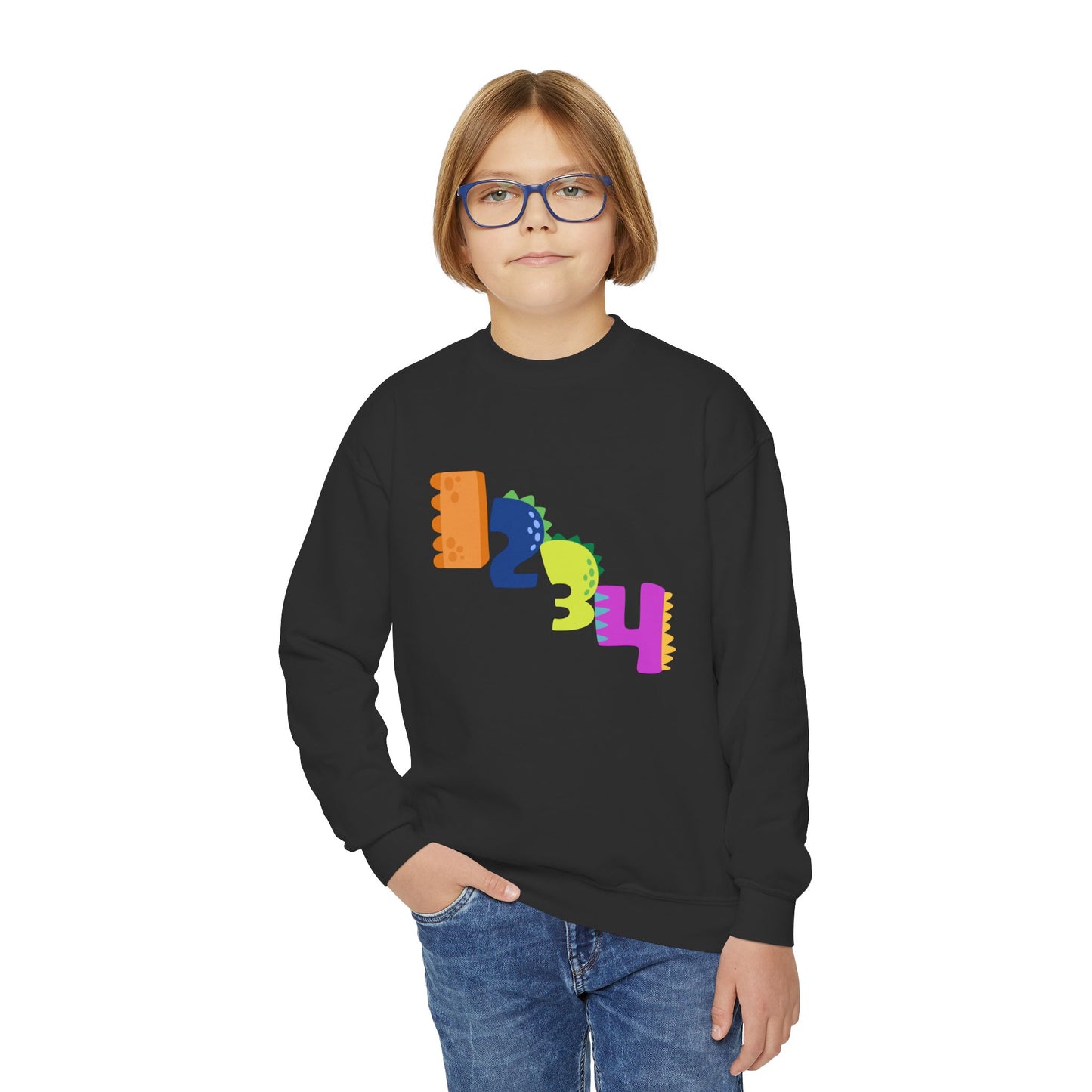 Colorful Fun Numbers and Dinosaurs Sweatshirt| Easygoing Style | True North