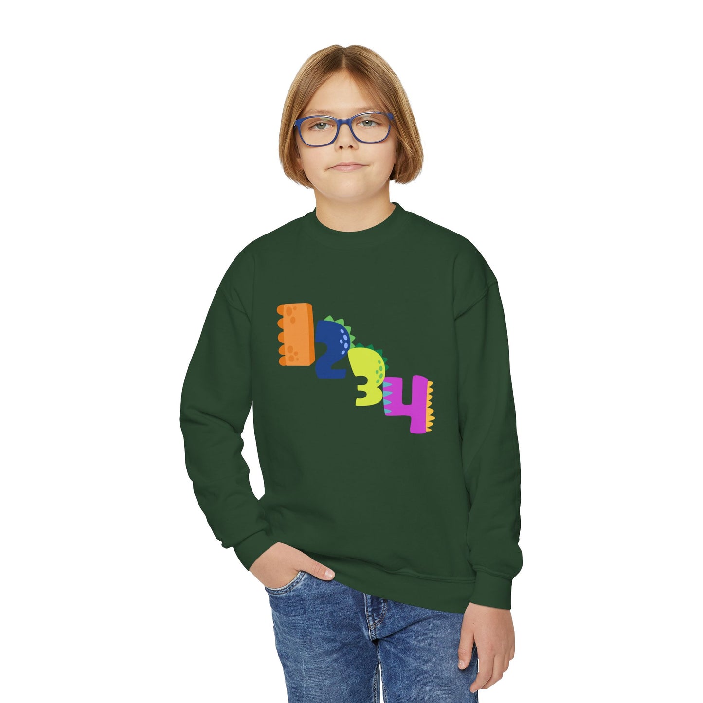 Colorful Fun Numbers and Dinosaurs Sweatshirt| Easygoing Style | True North