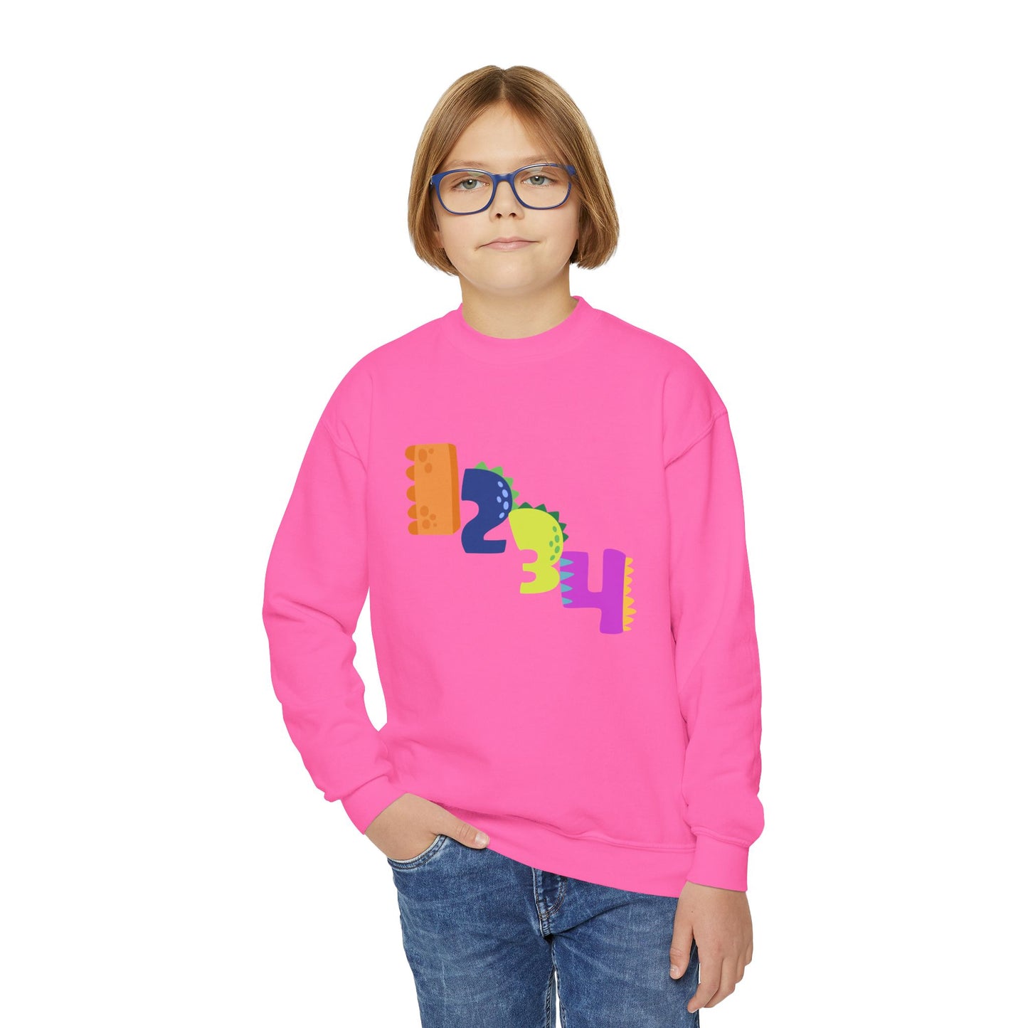 Colorful Fun Numbers and Dinosaurs Sweatshirt| Easygoing Style | True North