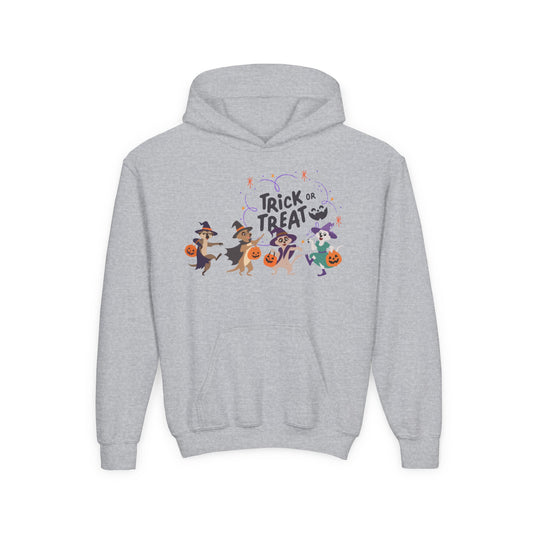 Halloween Trick or Treat Hooded Sweatshirt for Kids | Halloween Costume | True North