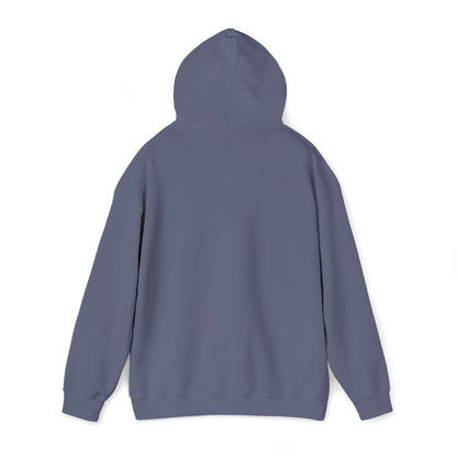 Idaho State Seal Hoodie — Vintage Idaho Emblem Pullover BOISE