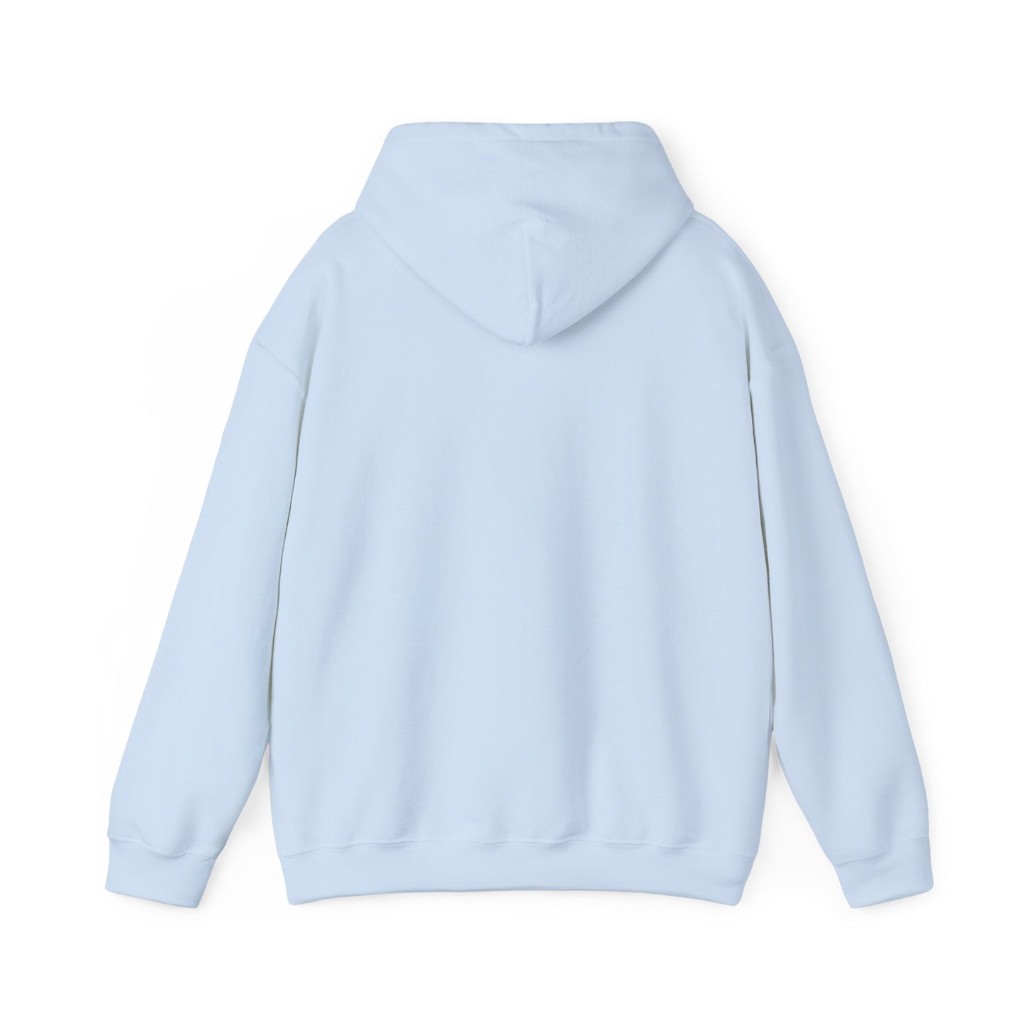 Boise Hoodie — "There's Just Something About Boise" Cozy City Sweatshirt