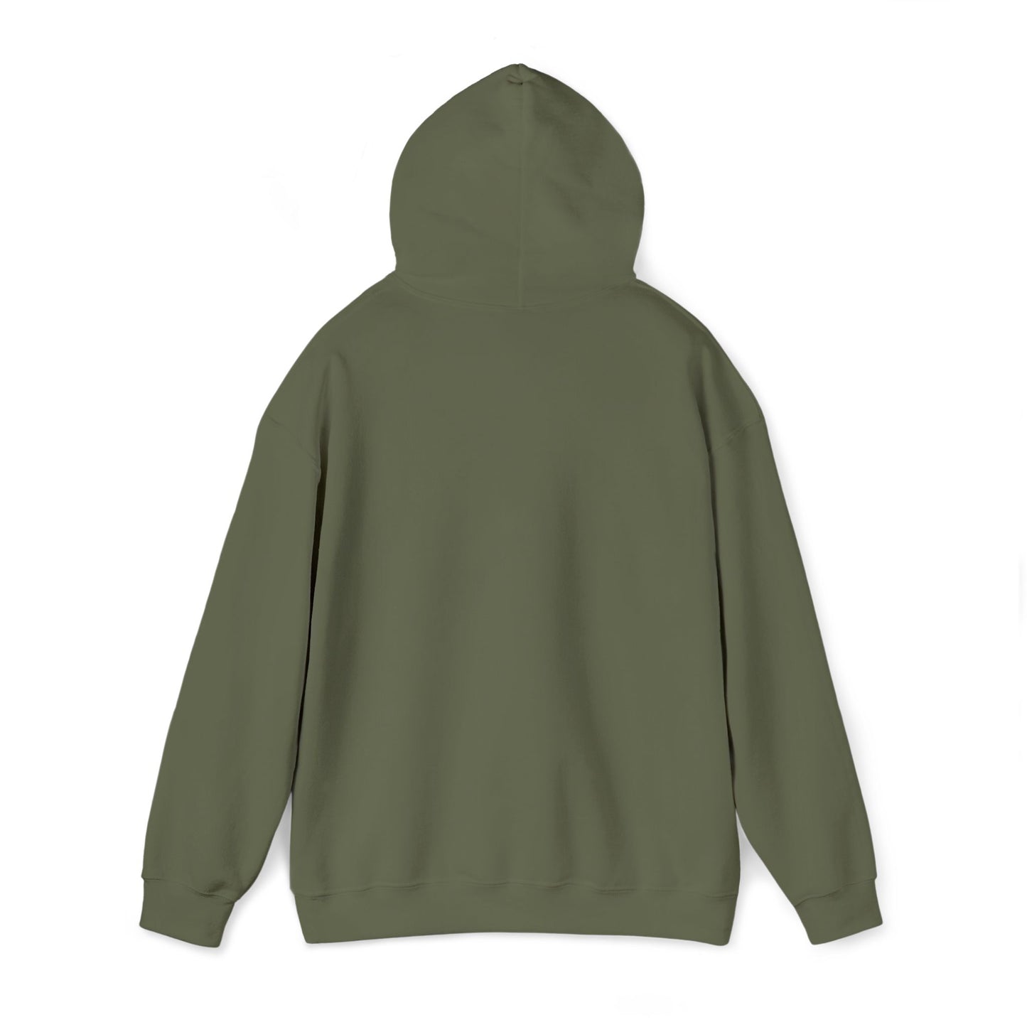 Boise Vintage Mountain Hoodie — River Scenic Outdoor Sweatshirt