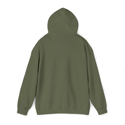 Boise Vintage Mountain Hoodie — River Scenic Outdoor Sweatshirt