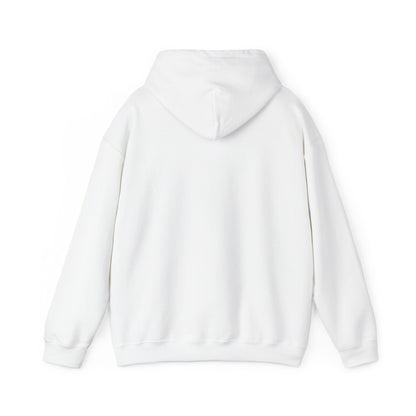 Hoodie — "There's Just Something About Duluth" Retro Script Pullover