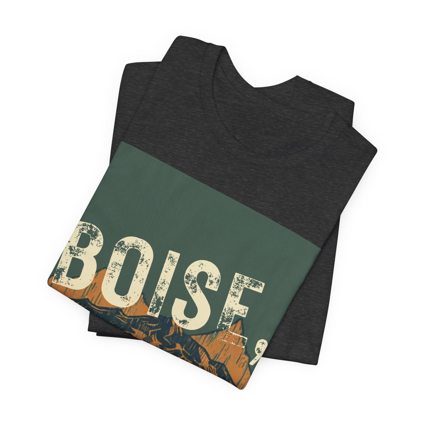 Boise Vintage Mountain Tee — Scenic River Adventure Graphic T-Shirt