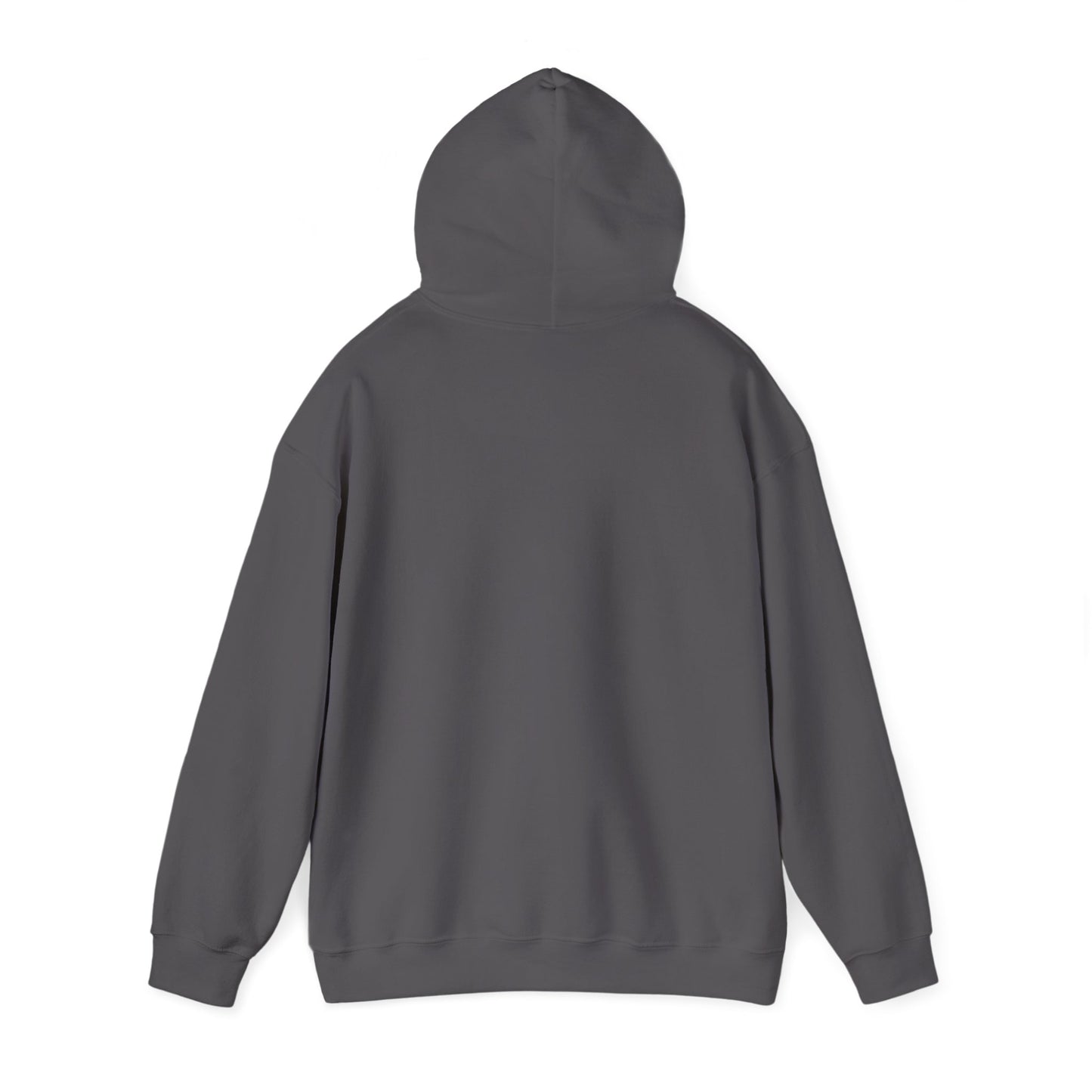 Hoodie - Team Duluth's Since Day 1 Pullover Hoodie