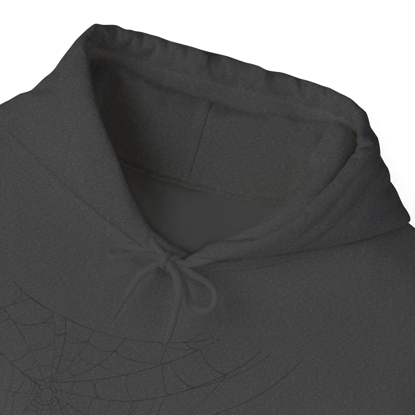 Spooky Spider Hoodie | Spooky Season Apparel | True North
