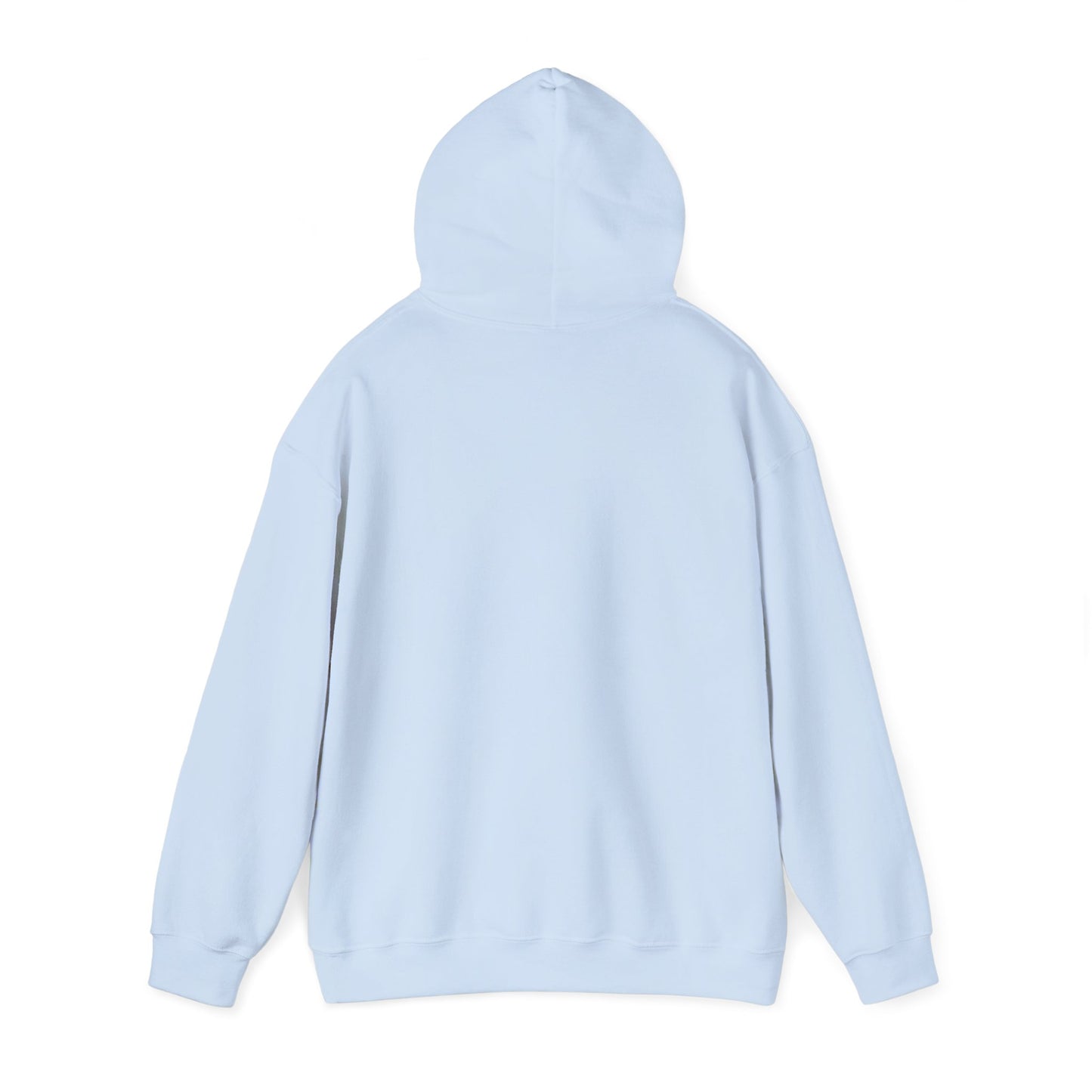 Minnesota State Flag Hoodie — Retro Watercolor Circle Design DULUTH