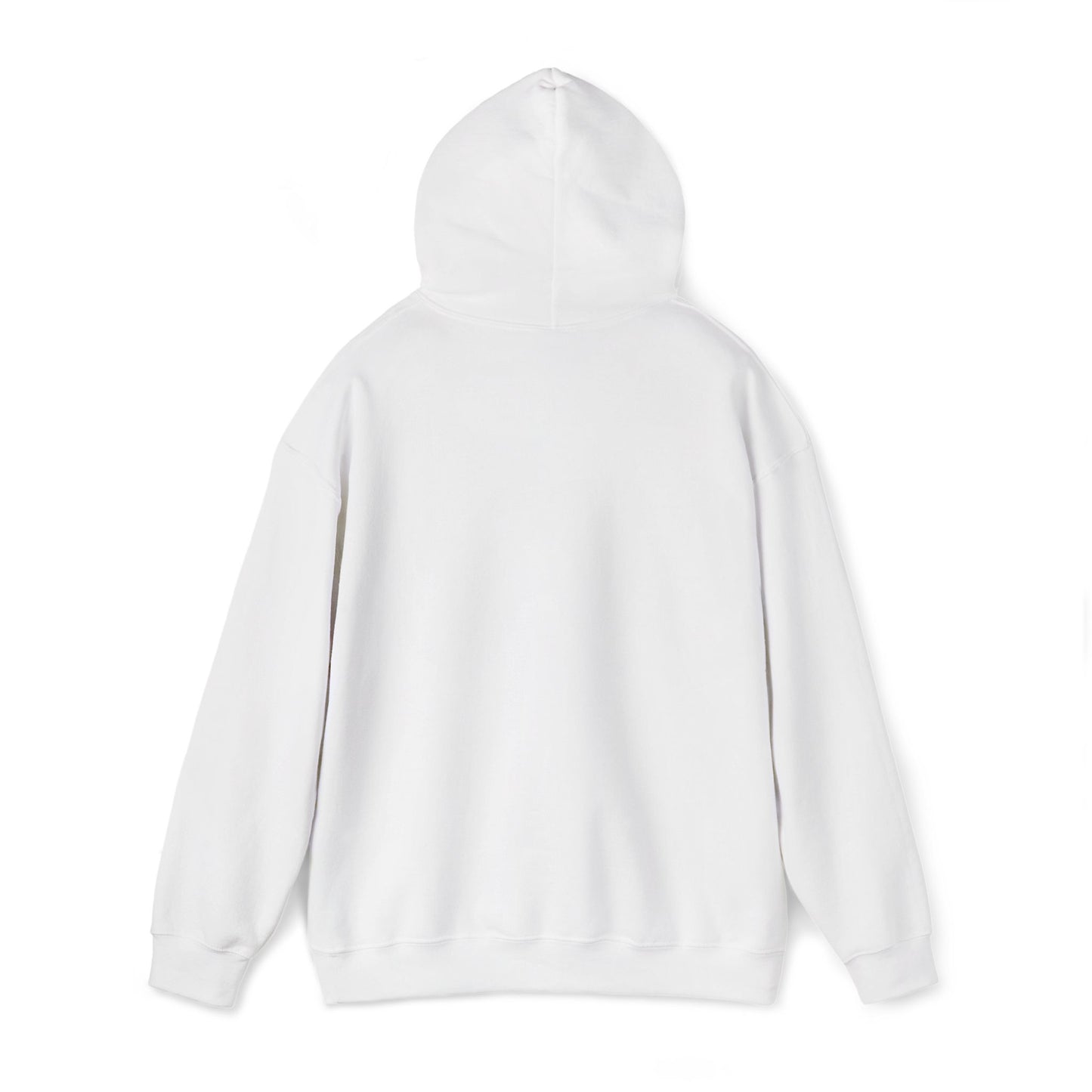 Boise Hoodie — Minimal City Logo Pullover Sweatshirt