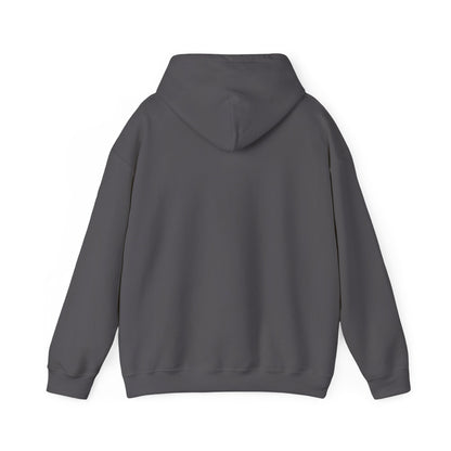 Boise River Greenbelt Hoodie — Scenic Outdoor Trail Sweatshirt
