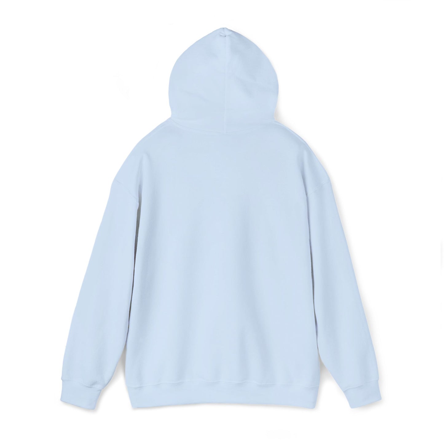 Idaho Postage Stamp Hoodie — Vintage State Travel Graphic Sweatshirt BOISE