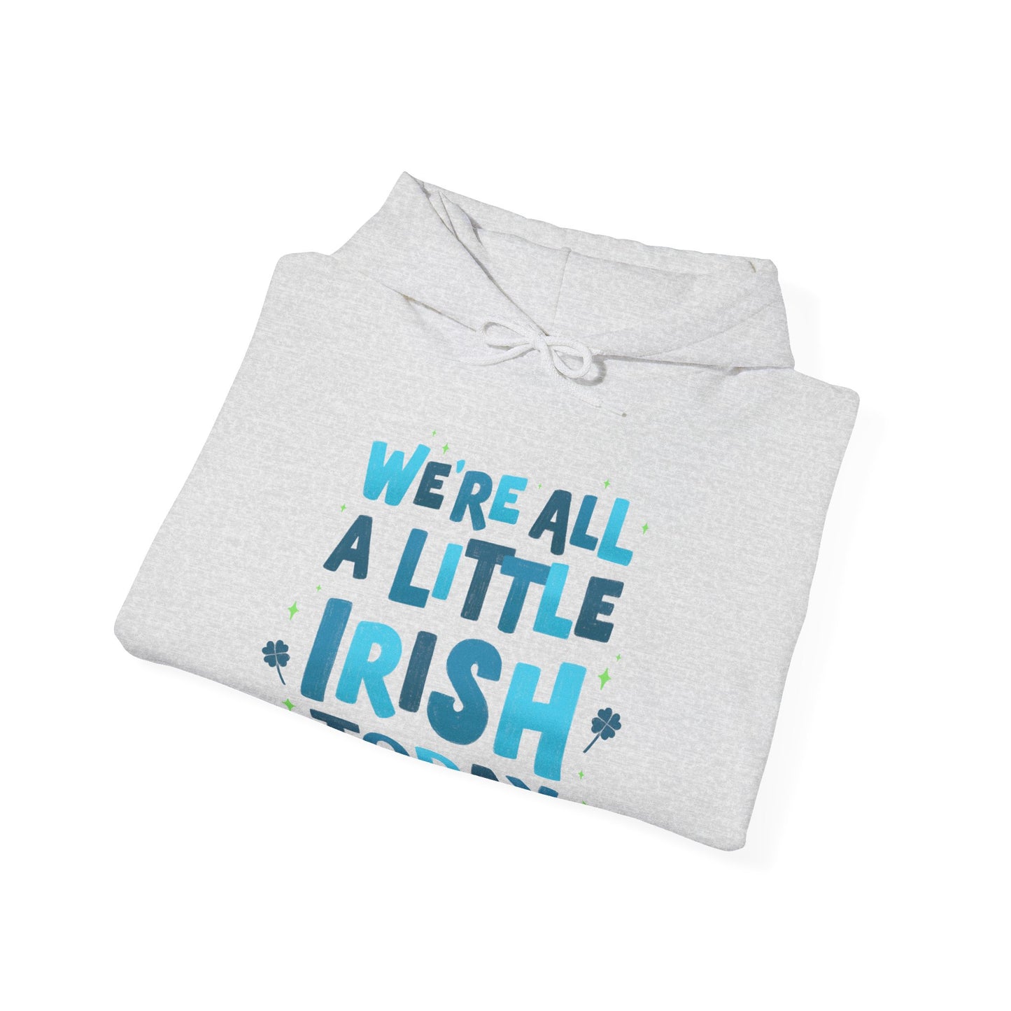 Irish Humor Hooded Sweatshirt  | True North