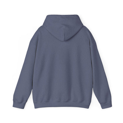 Idaho State Seal Hoodie — Vintage Idaho Emblem Pullover BOISE