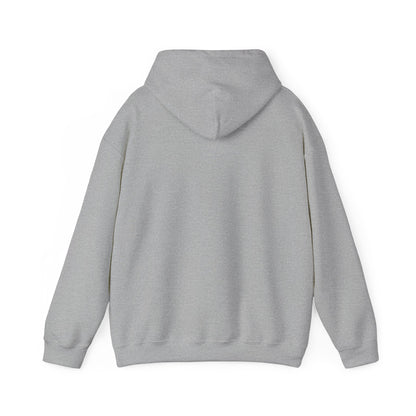 Travel-Inspired Hoodie | Adventure Sweatshirt | True North