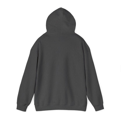 Hiking Adventure Hoodie | Mountain Climbing | True North