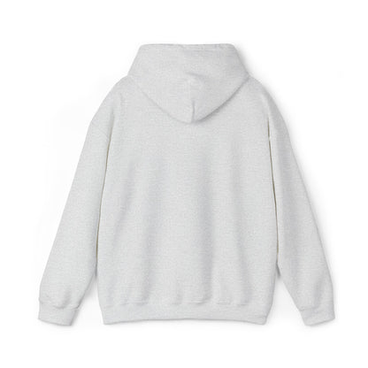 Boise Vintage Mountain Hoodie — River Scenic Outdoor Sweatshirt