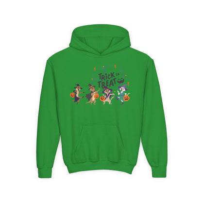 Halloween Trick or Treat Hooded Sweatshirt for Kids | Halloween Costume | True North