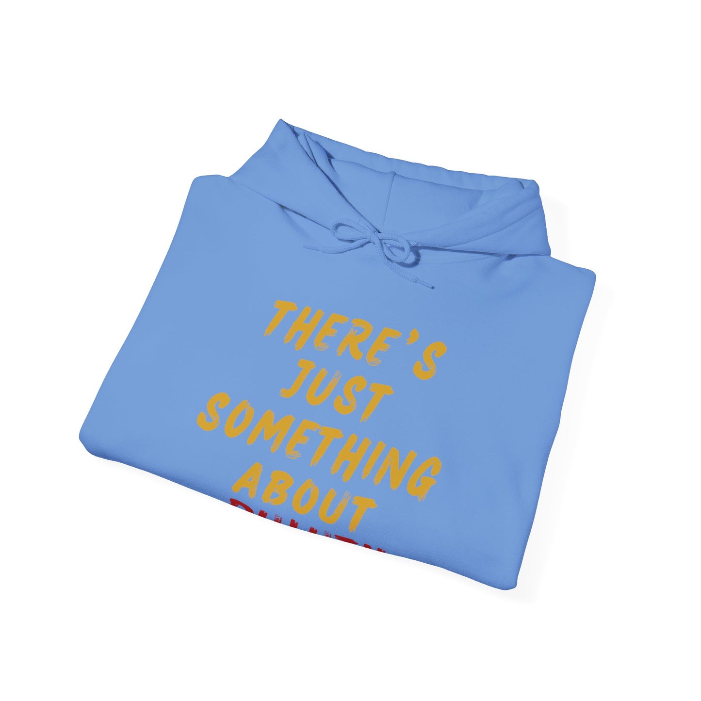 Hoodie — "There's Just Something About Duluth" Retro Script Pullover