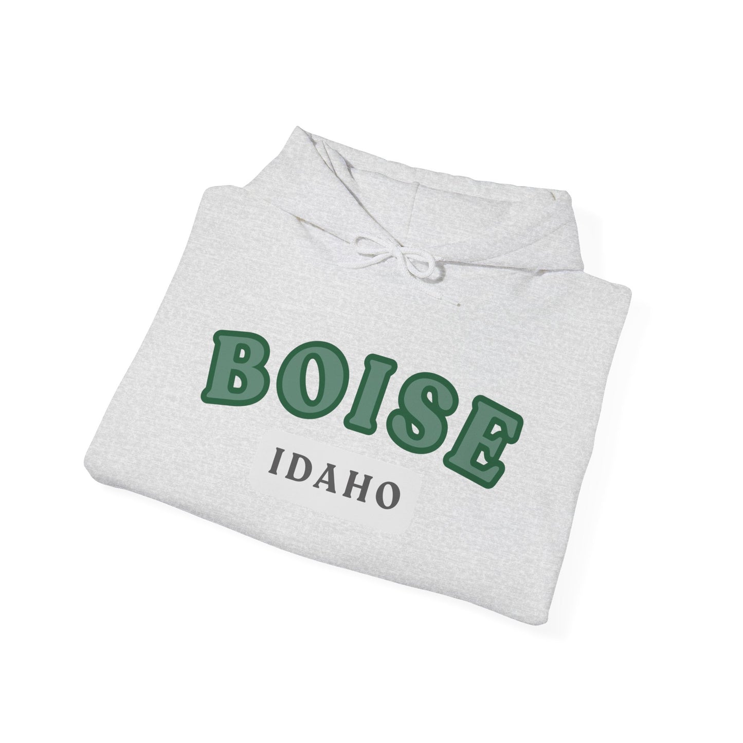 Boise Idaho Arch Hoodie — Vintage Collegiate City Pullover