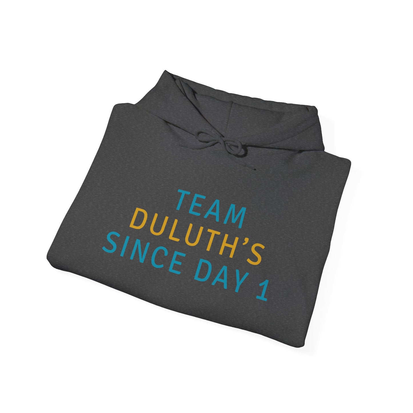 Hoodie - Team Duluth's Since Day 1 Pullover Hoodie