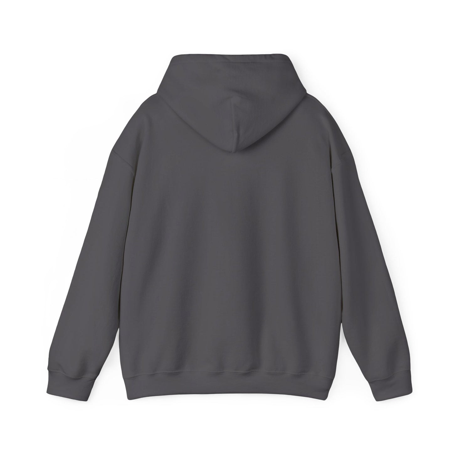 Hoodie - Team Duluth's Since Day 1 Pullover Hoodie