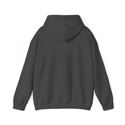 Hiking Adventure Hoodie | Mountain Climbing | True North