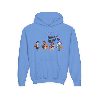 Halloween Trick or Treat Hooded Sweatshirt for Kids | Halloween Costume | True North