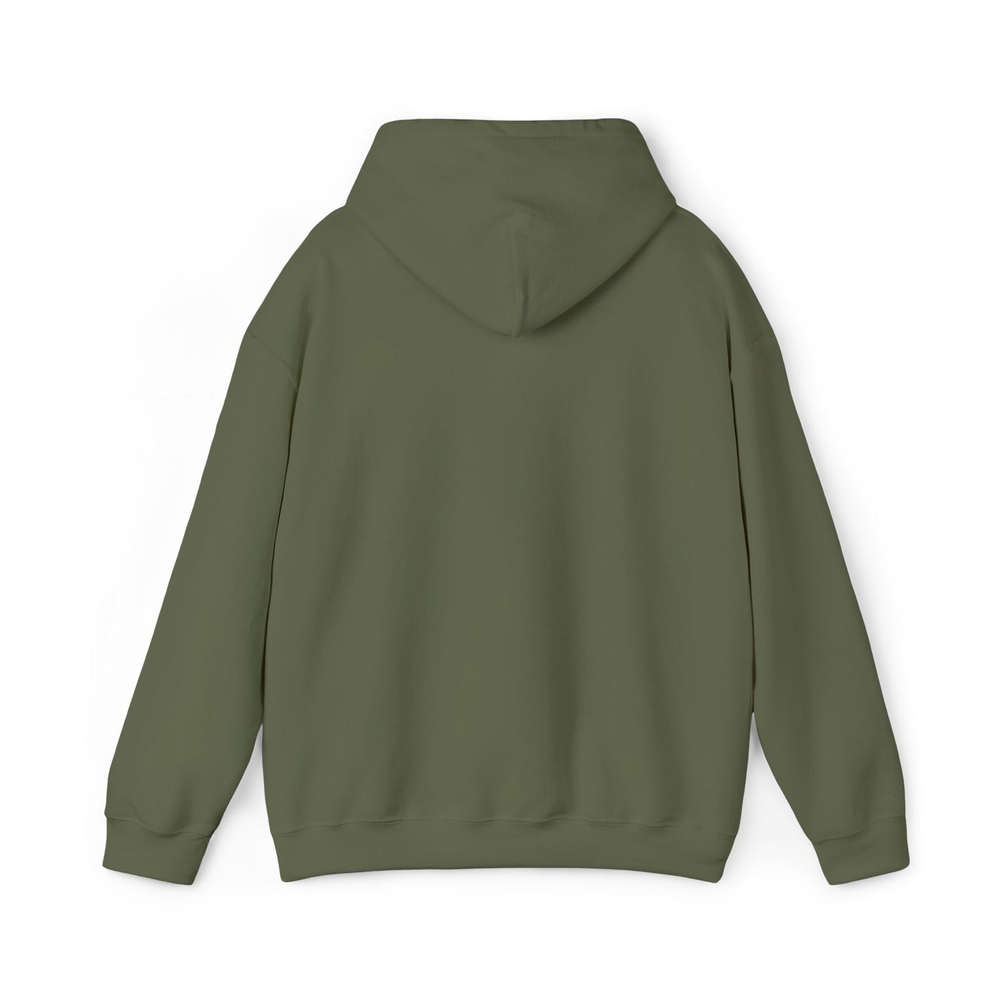 Boise Vintage Mountain Hoodie — River Scenic Outdoor Sweatshirt