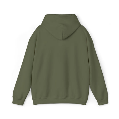 Boise Vintage Mountain Hoodie — River Scenic Outdoor Sweatshirt