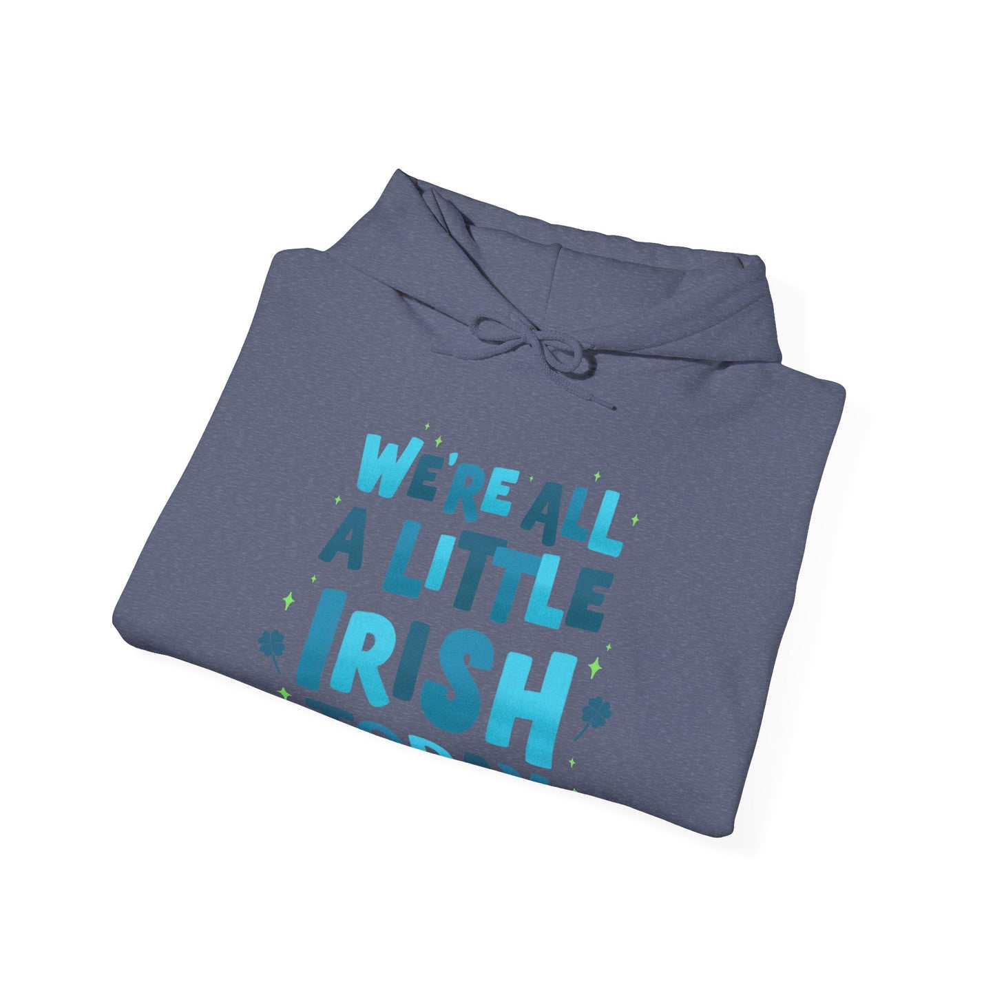Irish Humor Hooded Sweatshirt  | True North