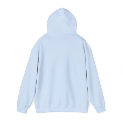 Boise Hoodie — "Nowhere Else Feels Like Boise" Cozy City Sweatshirt