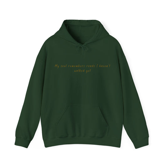 My Soul Remembers Hooded Sweatshirt | Cozy Pullover | True North