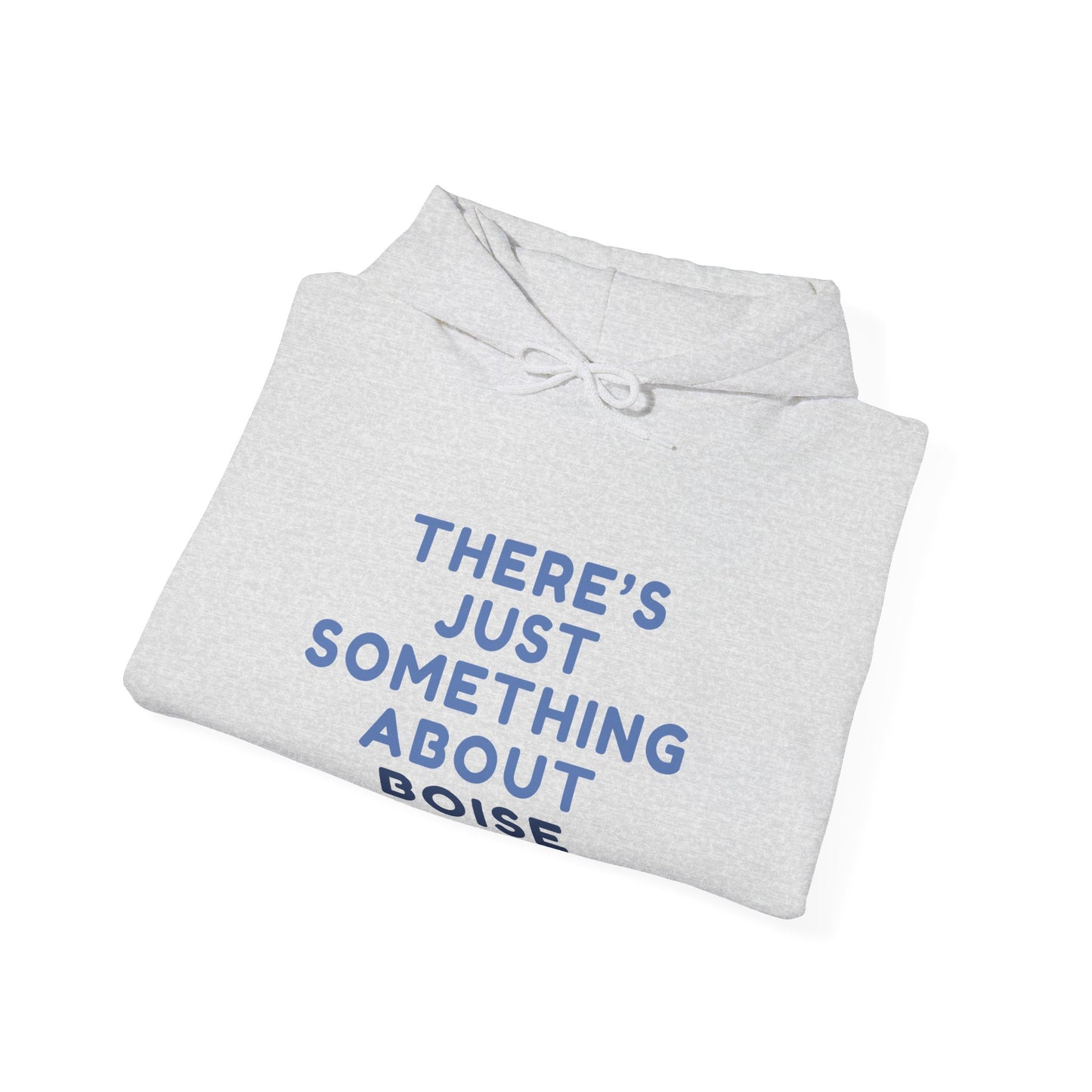Boise Hoodie — "There's Just Something About Boise" Cozy City Sweatshirt