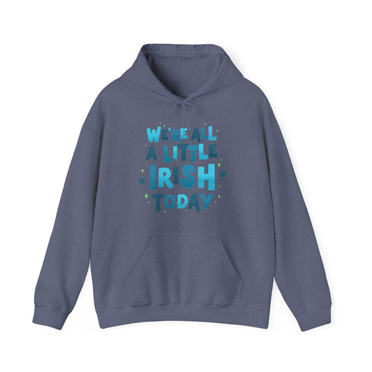 Irish Humor Hooded Sweatshirt  | True North