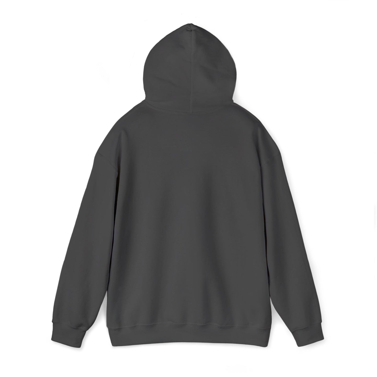 Boise River Greenbelt Hoodie — Scenic Outdoor Trail Sweatshirt