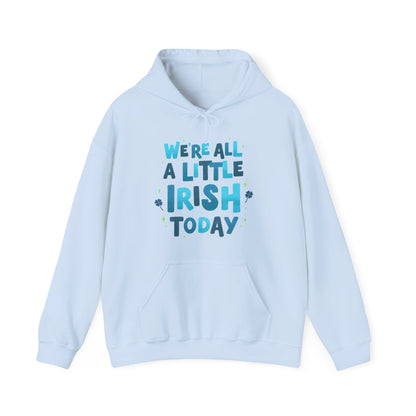 Irish Humor Hooded Sweatshirt  | True North