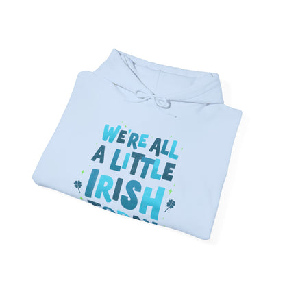 Irish Humor Hooded Sweatshirt  | True North