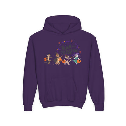 Halloween Trick or Treat Hooded Sweatshirt for Kids | Halloween Costume | True North