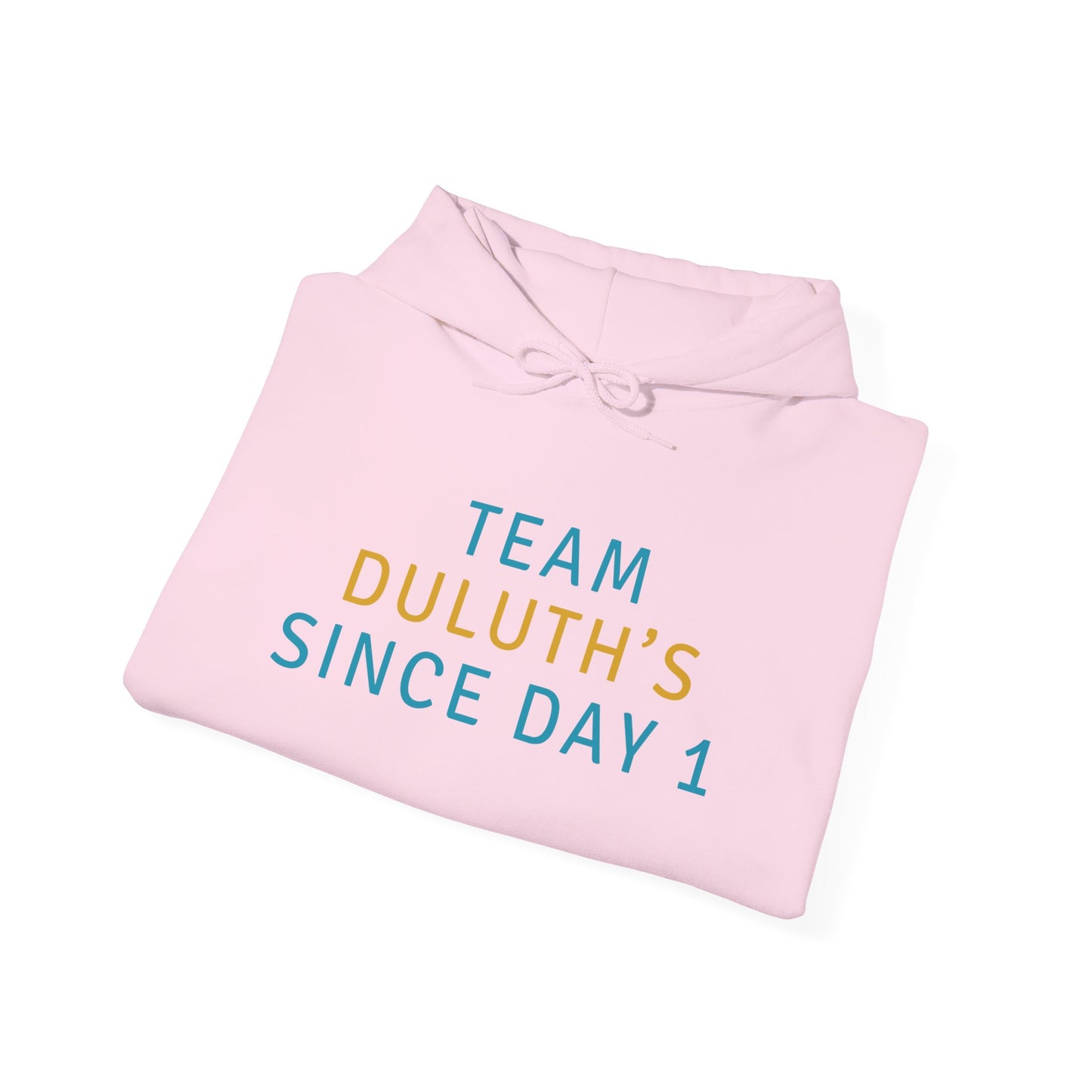 Hoodie - Team Duluth's Since Day 1 Pullover Hoodie