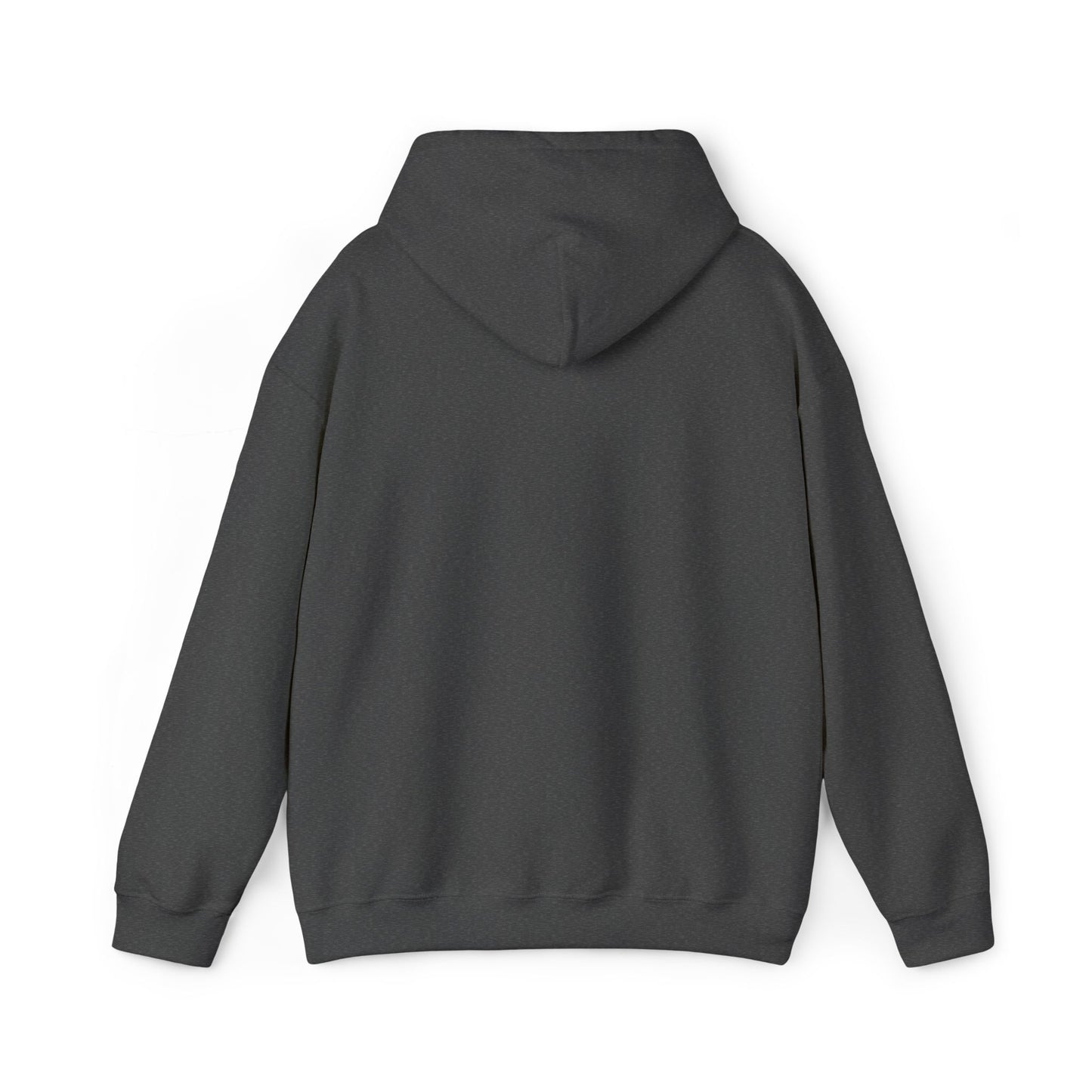 Boise River Greenbelt Hoodie — Scenic Outdoor Trail Sweatshirt