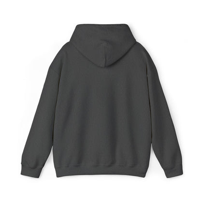 Boise River Greenbelt Hoodie — Scenic Outdoor Trail Sweatshirt
