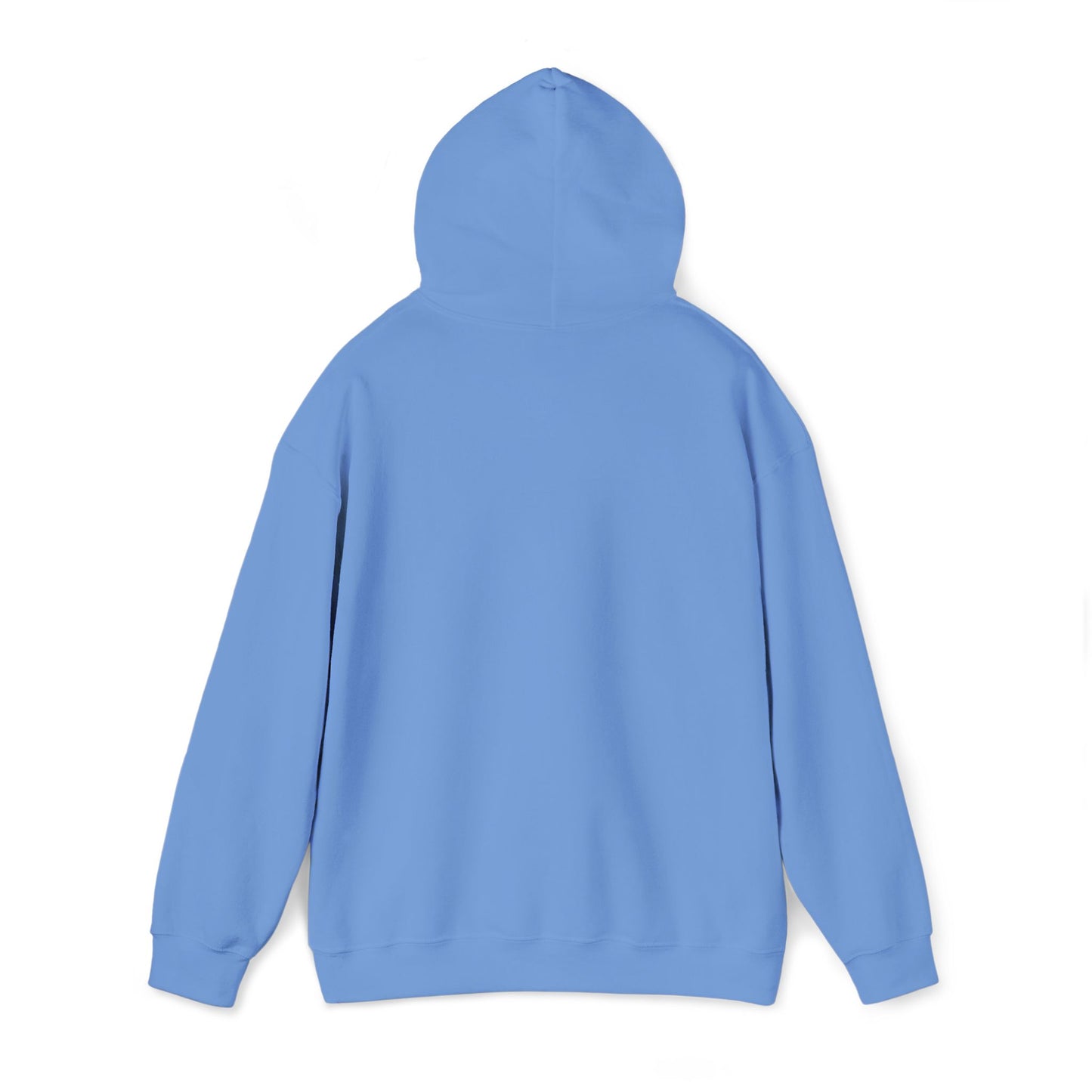 Loved Boise Before The Hype Hoodie — Idaho Pride Pullover
