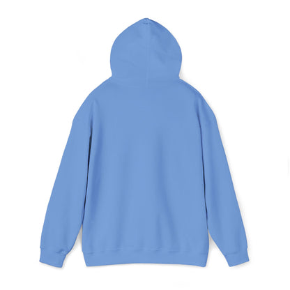 Loved Boise Before The Hype Hoodie — Idaho Pride Pullover