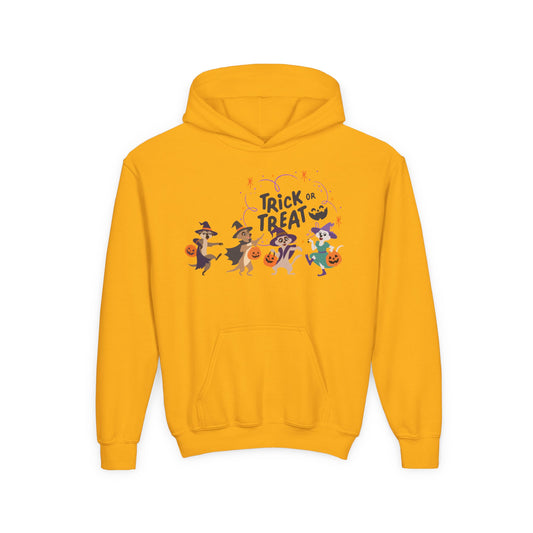 Halloween Trick or Treat Hooded Sweatshirt for Kids | Halloween Costume | True North