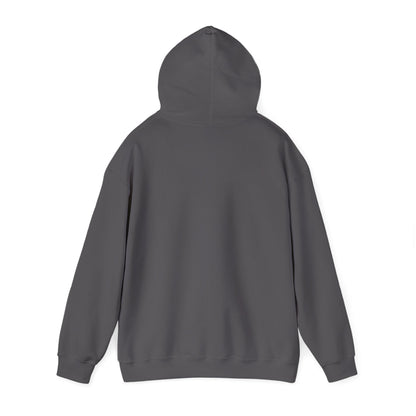 Boise River Greenbelt Hoodie — Scenic Outdoor Trail Sweatshirt