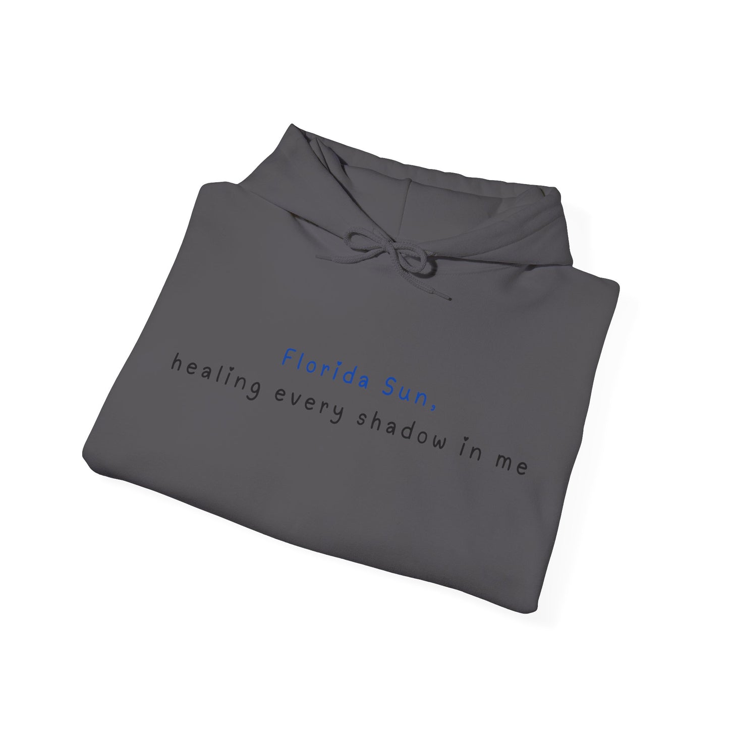 Embrace the Florida Sun Hoodie | True North