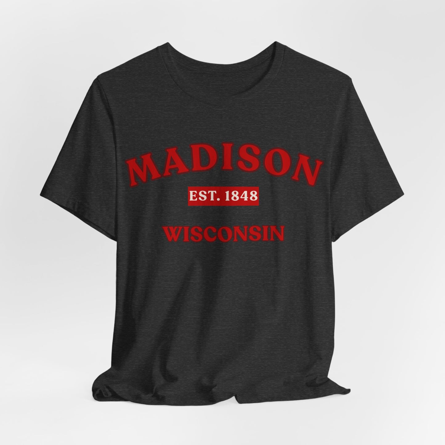 Madison Wisconsin Established 1848 JERSEY Tee