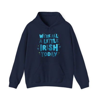 Irish Humor Hooded Sweatshirt  | True North