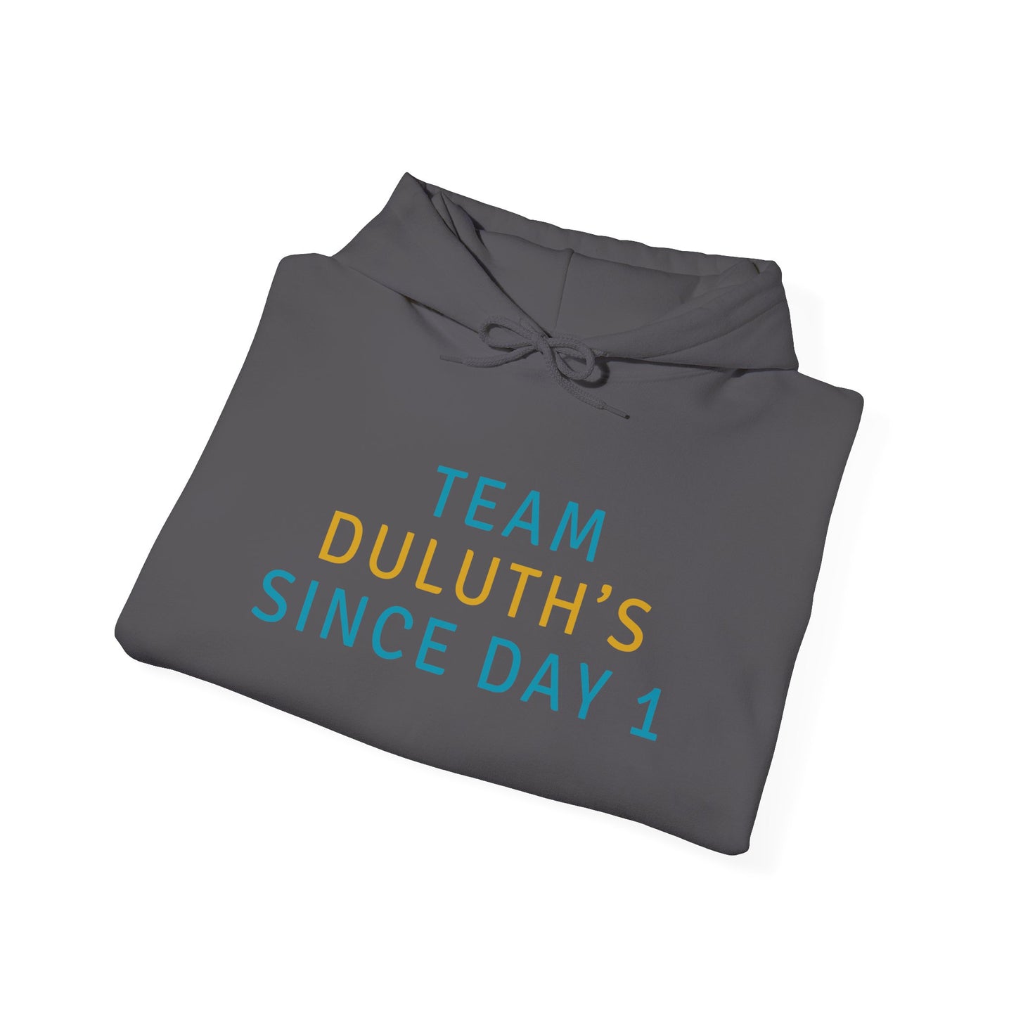 Hoodie - Team Duluth's Since Day 1 Pullover Hoodie